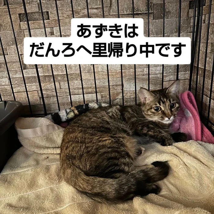 画像2753