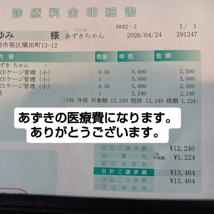 画像2754