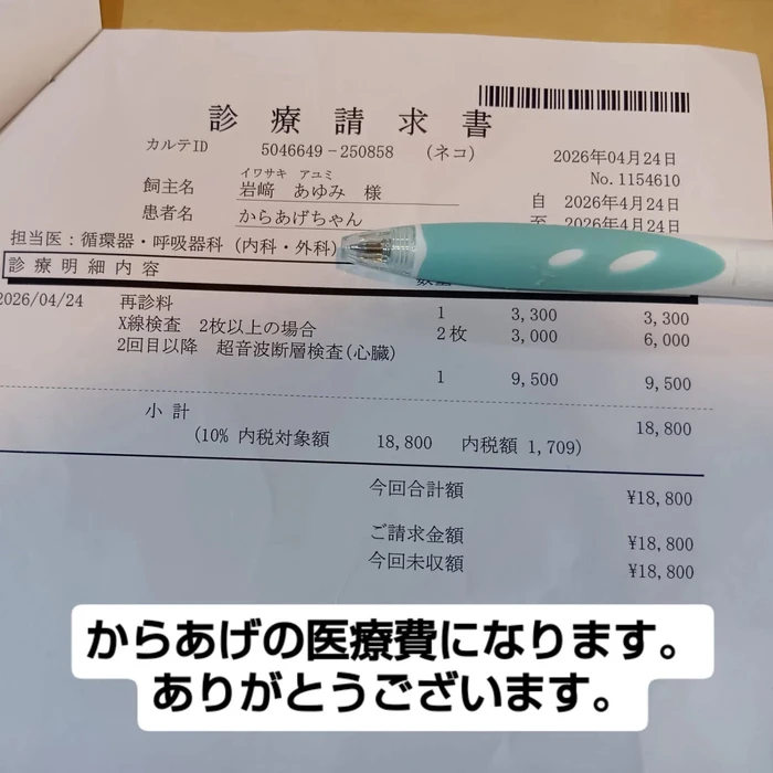 画像2755