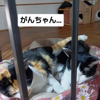 画像2757