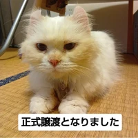 画像2766