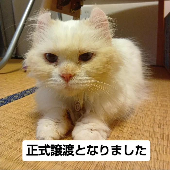 画像2766
