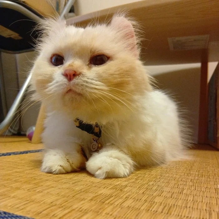 画像2767