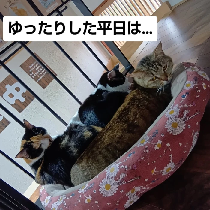 画像2775