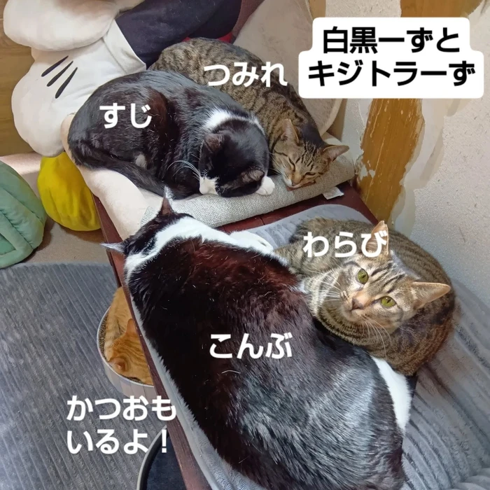画像2778