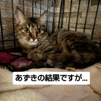 画像2780