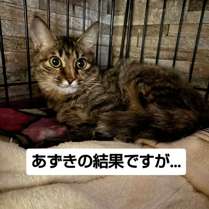 画像2780