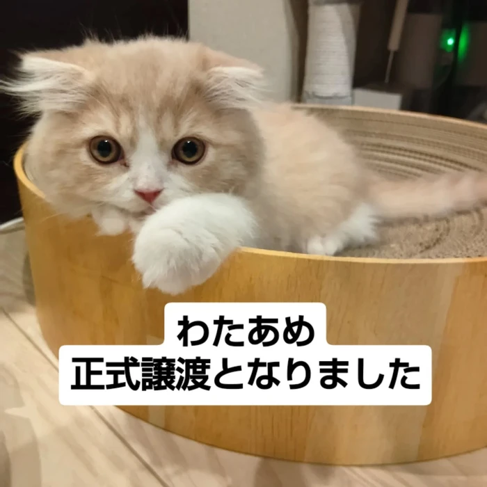 画像2786