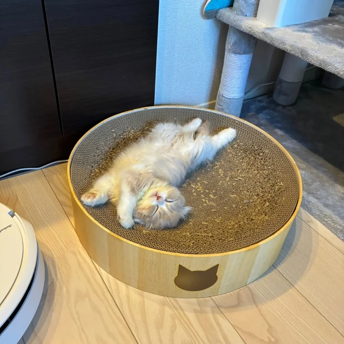 画像2788
