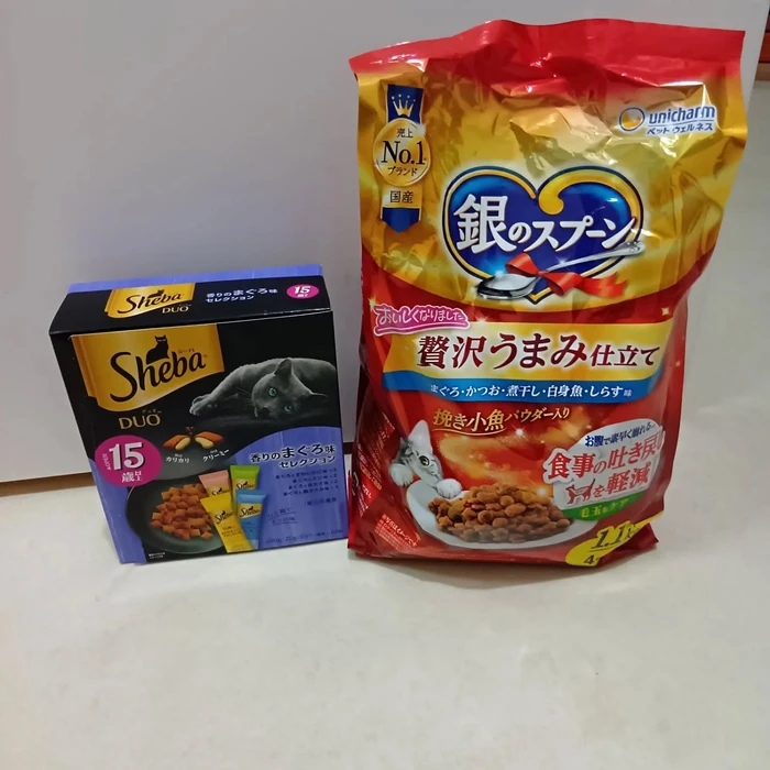 画像2792