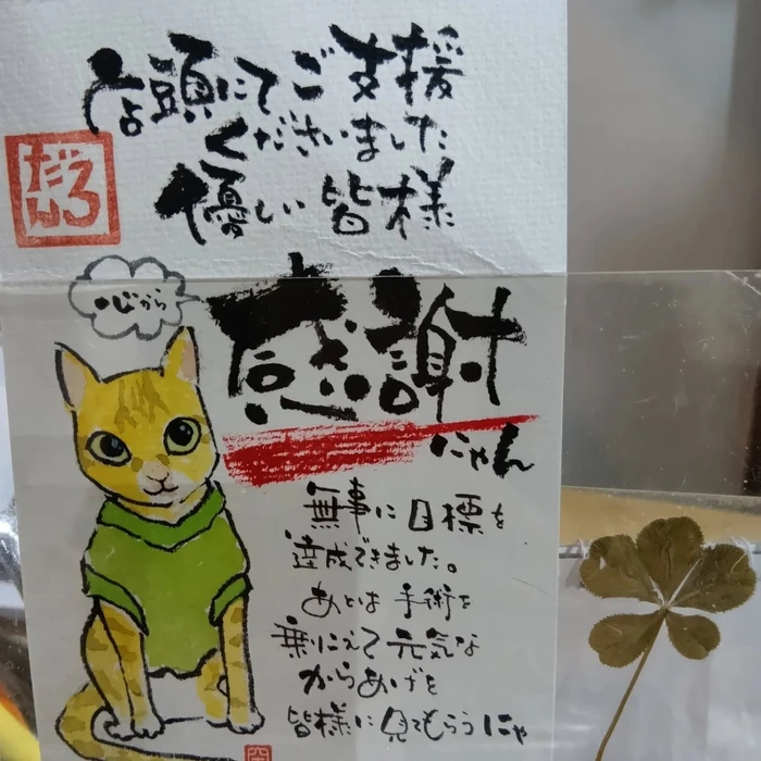 画像2795