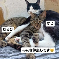 画像2798