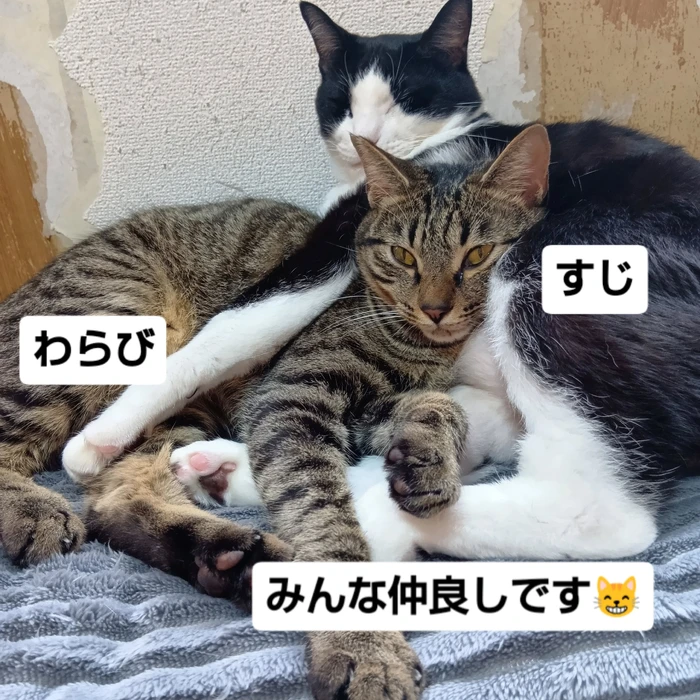 画像2798
