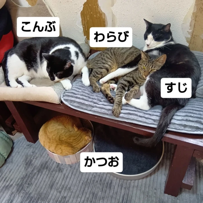 画像2799