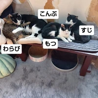 画像2800