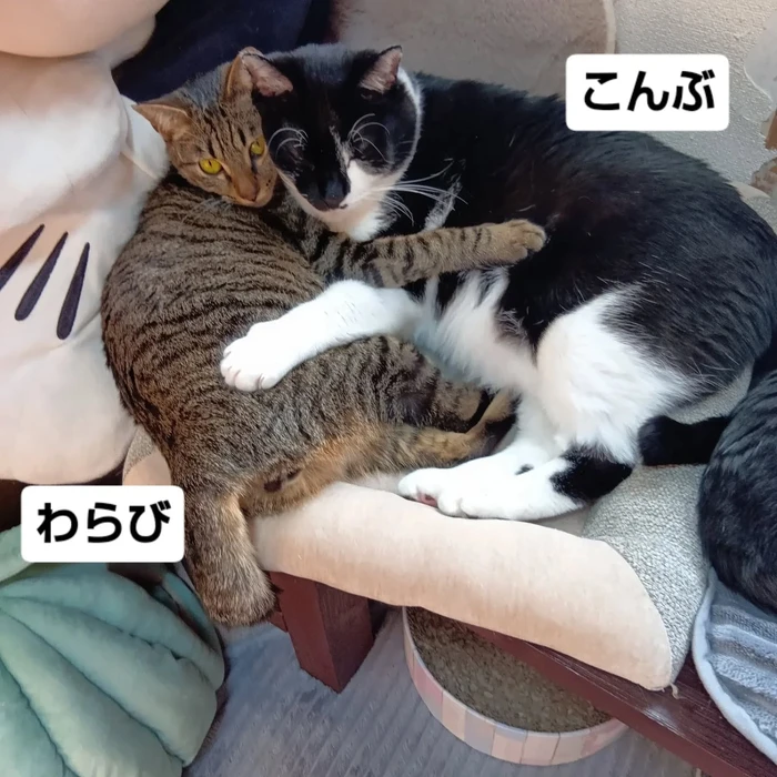 画像2801