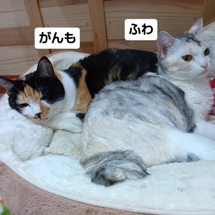 画像2802