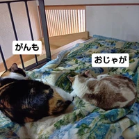 画像2803