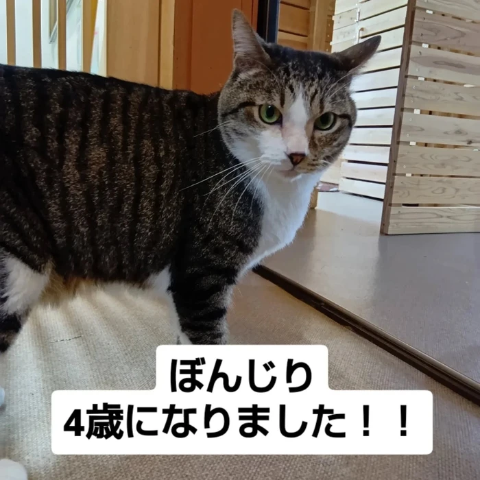 画像2807