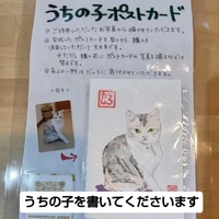 画像2809