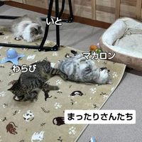 画像2817