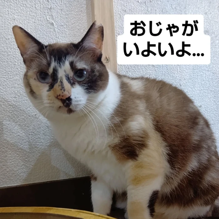 画像2822