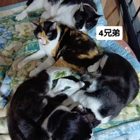 画像2830
