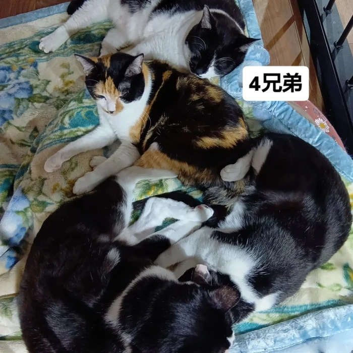 画像2830