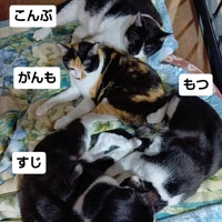 画像2831