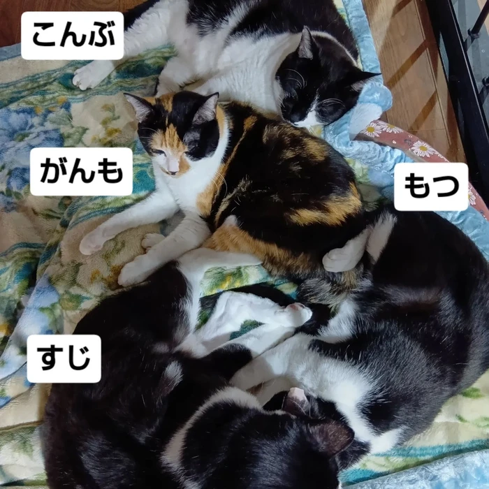 画像2831