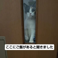 画像2837