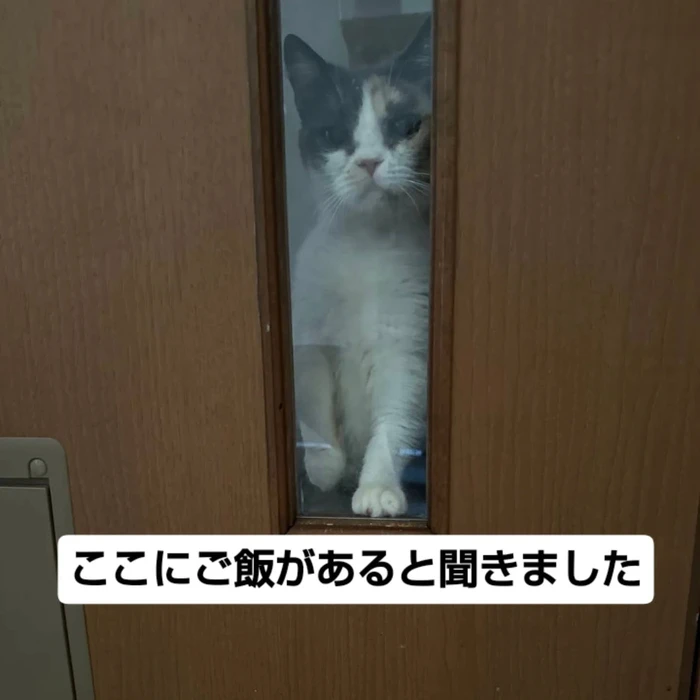 画像2837