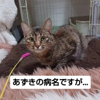 画像2840