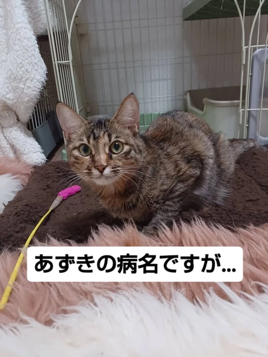 画像2840
