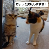 画像2845