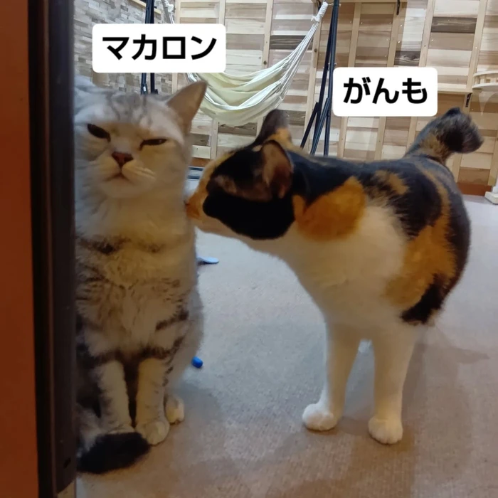 画像2846