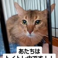 画像2850