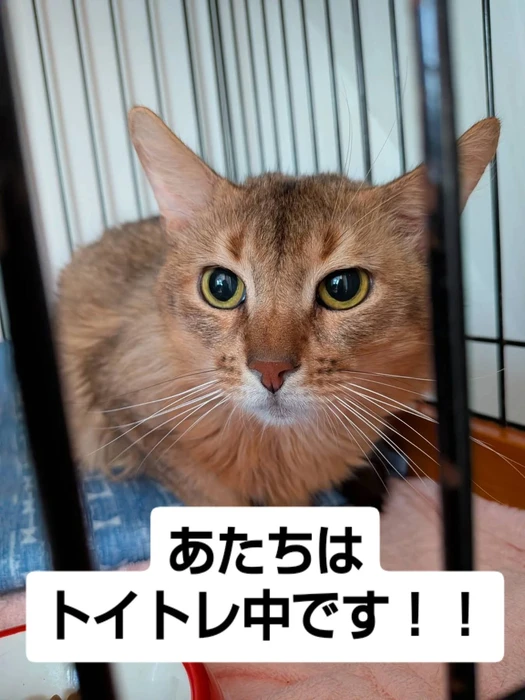 画像2850