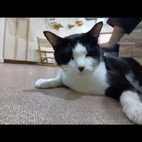 画像288