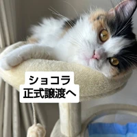 画像2888