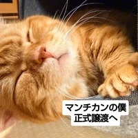 画像2892