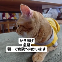 画像2898