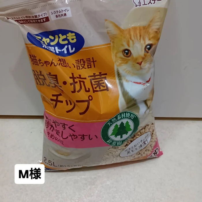 画像2904