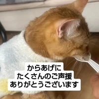 画像2909