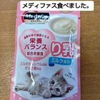 画像2910