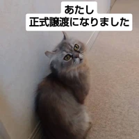 画像2916
