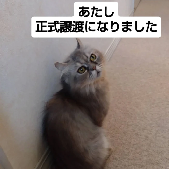 画像2916