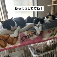 画像2919