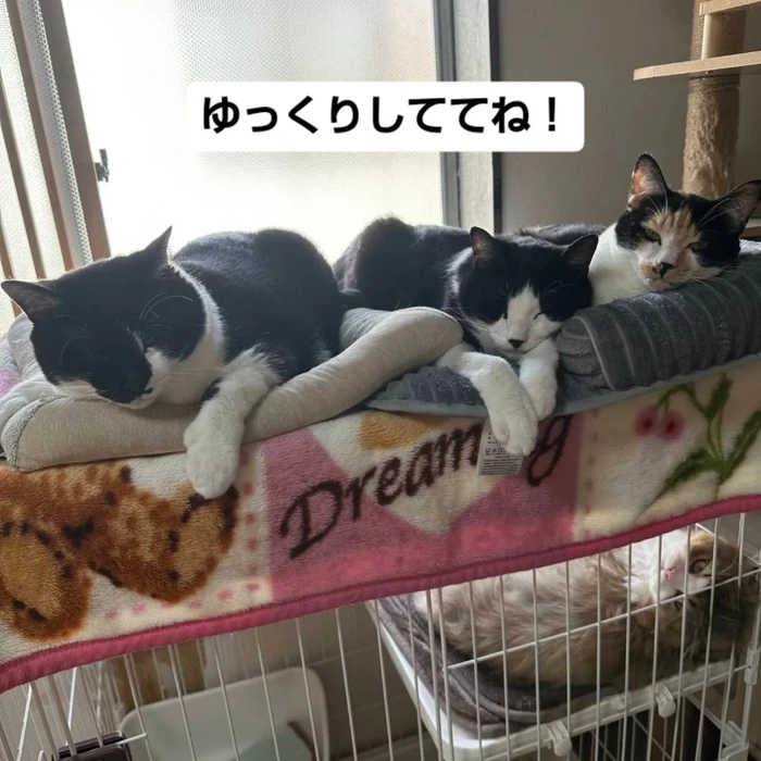 画像2919