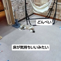 画像2922
